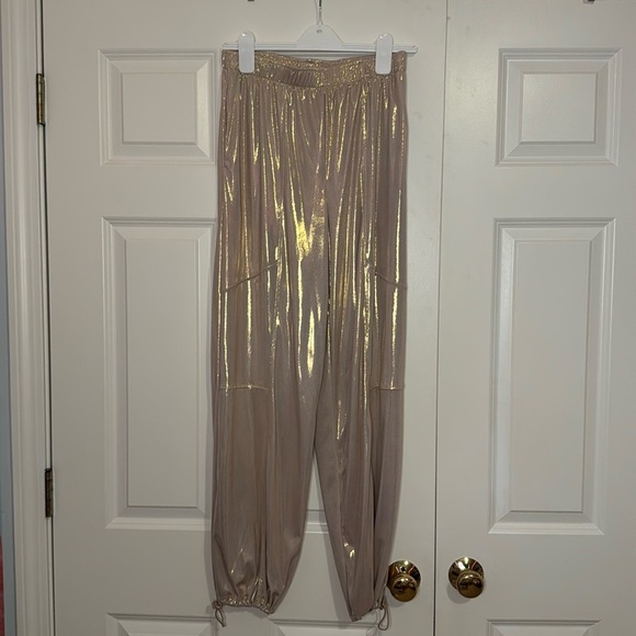 Urban Renewal Parties Remnants Luella Shimmer Toggle Pant Sz M in Beige - Picture 5 of 8